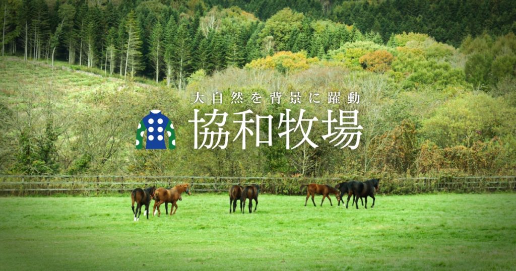 生産馬出走情報(ハシノオージャ、グランツエクラ、ポインデクスター)